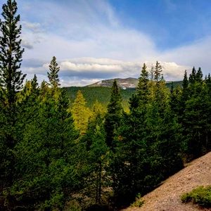 Meet your Posher, Alison